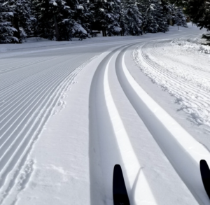 nordic skiing