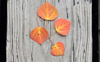 simple leaves