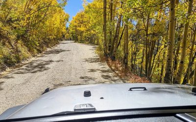 through window to road